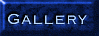 gallery button